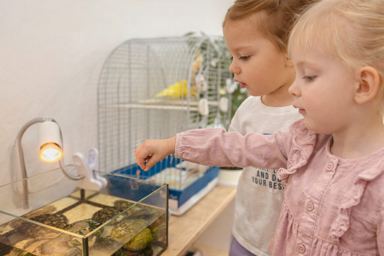 садик в Сельме